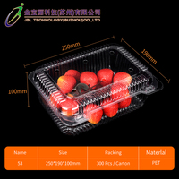 500g de qualité alimentaire personnalisé en plastique PET clair fruits boîte à clapet emballage fraise Punnet pour supermarché