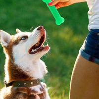 Jouets à mâcher pour chiens écologiques, mignons et durables, en TPR, pour les chiens agressifs, avec brosse à dents