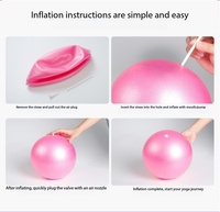 Ballon de yoga mini en PVC de 25 cm pour adultes, Pilates et soutien pendant la grossesse, ballon d'exercice doux pour massage
