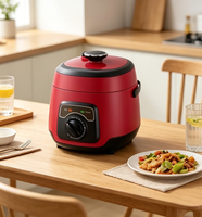 Cuisinière à riz électrique mini automatique 2,5 L 600 W avec fonction maintien au chaud, boîtier en plastique, cuve antiadhésive et fonction minuterie PC50-J