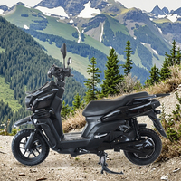 2000W Off-Road elektrikli motosiklet | 80 km/h uzun menzilli spor E motosiklet 12 inç vakum lastikleri ile