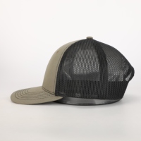 Sombrero de camionero marrón ceniza de 6 paneles con logotipo personalizado Gorra de malla deportiva de moda de calle con ala curvada ligera Tela común de estilo exterior