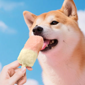 Friandises dentaires pour chiens : Os protéinés en cuir de vache recouverts de pâte de poulet, texture dure et durable, pour le nettoyage des dents - Product Image 1