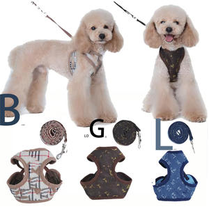 Arnés de Lujo para Perros Pequeños, Collar y Correa para Mascotas, Accesorios para Cachorros, Precio Económico - Product Image 4