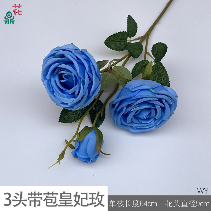 Rose Royale WY à 3 têtes, bleu clair