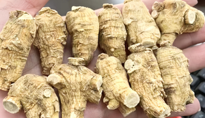 Factory Hot <strong>Sale</strong> Food Grade Pure American <strong>Ginseng</strong> <strong>Powder</strong> Flavor Essence for Health Drink Seasoning - Product Image 3