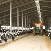 Bâtiment préfabriqué en structure d'acier, maison préfabriquée, hangar agricole, grange pour bétail, moutons, animaux d'élevage, écurie pour chevaux