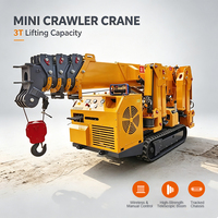 Mini-grue araignée diesel et électrique à double alimentation, grue de levage télescopique hydraulique avec nacelle de travail aérienne en option