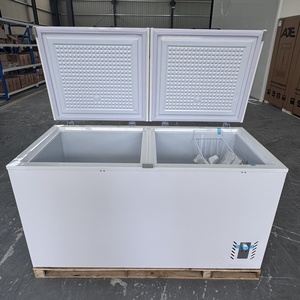 Congelador Horizontal Comercial de Doble Puerta, Gran Capacidad, Fuente de Alimentación para Uso Doméstico y Hotelero, con Compresor - Product Image 3