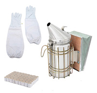 Kit d'outils d'apiculture en gros de 15 pièces : fumoir, brosse, gants, vêtements, cadre, pince, cage à reine