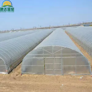 Invernadero para el cultivo de verduras, invernadero de arena