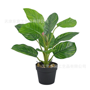 Plante verte artificielle en pot, mini bonsaï, feuille de coquille de tortue, décoration de maison, ornement de bureau, accessoire de photographie, 10 cm-30 cm - Product Image 5