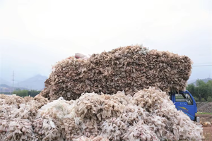 Sac de déchets de champignon de rendement élevé enlevant la ligne pour séparer complètement le sac et le substrat - Product Image 5