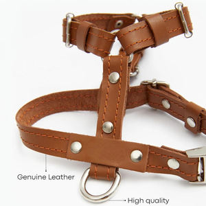 Pakaian luar anjing kulit, baju anak anjing kecil, rompi hewan peliharaan lucu dapat disesuaikan - Product Image 3