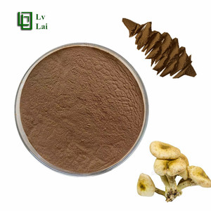 Venta caliente de alta calidad Extracto de hongo de miel en polvo - Product Image 1