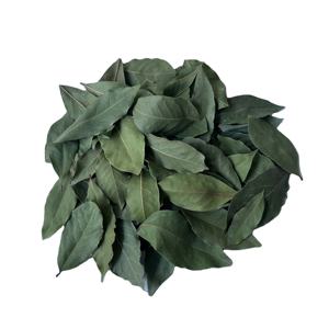 Feuilles de laurier entières turques 5-10 cm, naturelles, séchées, de haute qualité, épices simples, brutes, traitement AD, sacs PP de 25 kg, exportation - Product Image 2