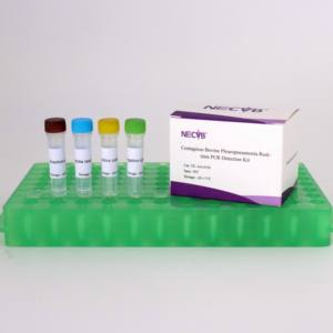 Kit uji bovin pleuroplous sensitivitas tinggi, teknologi pemindai TaqMan kompatibel dengan sistem PCR <span class=keywords><strong>ABI</strong></span> Roche/bio-rad - Product Image 1