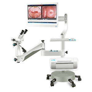 Semiz mushukning porno surati