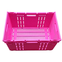 Caisses en plastique empilables pour légumes, tomates et fruits, robustes et résistantes, mini-caisses empilables