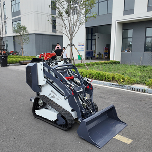 Miễn phí vận chuyển giá rẻ Mini Skid chỉ đạo Bộ nạp DIESEL Mini Skid Steer lật bánh xe tải Mini - Product Image 1