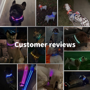 <span class=keywords><strong>Collar</strong></span> reflectante para mascotas con luz intermitente a prueba de agua personalizado ajustable USB tipo C recarga <span class=keywords><strong>collar</strong></span> luminoso LED de lujo para perros - Product Image 6