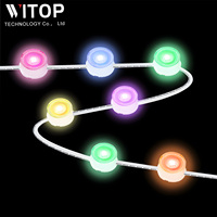 Tube lumineux LED intelligent à pixels, lumières de Noël, pixels étanches, 36v LED, lumières de Noël permanentes pour l'extérieur