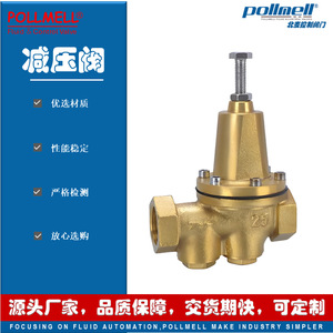 Régulateur de pression d'eau Pollmell 200P en laiton fileté, haute précision, grand débit - Product Image 2