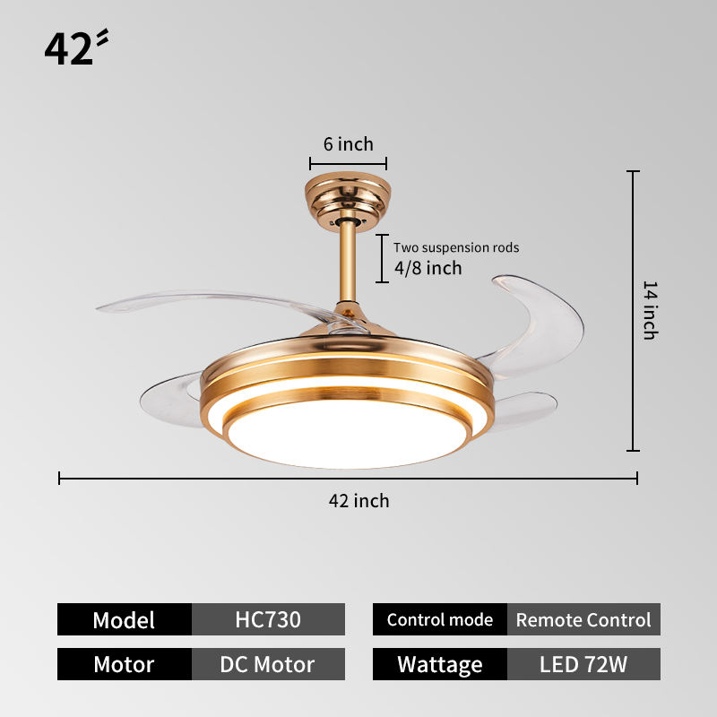 สีทอง + 42