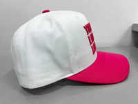 Gorra de béisbol con logotipo bordado en 3D personalizable, gorra de camionero con Marco en A de 5 paneles de dos tonos, gorra de béisbol con botón de cierre Snapback de plástico