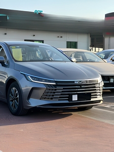 Auto Eléctrico BYD Destroyer 05 2024 de Cuatro Ruedas - Product Image 3
