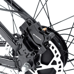 Bicicleta Eléctrica <span class=keywords><strong>de</strong></span> Montaña E5-2rd Hub Speed-36V350W10A con Batería <span class=keywords><strong>de</strong></span> Litio, 8 Velocidades y Cuadro <span class=keywords><strong>de</strong></span> Aluminio - Product Image 6