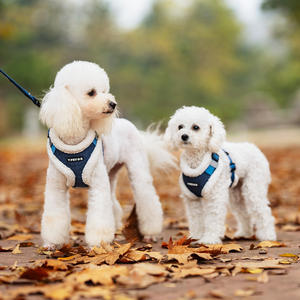 Ensemble de harnais de luxe pour chien formation soutien émotionnel harnais confortable collier et harnais pour chien fournisseurs de créateurs - Product Image 1