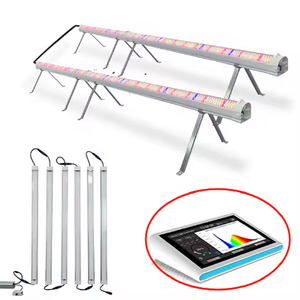 Barre linéaire <span class=keywords><strong>horticole</strong></span> durable en PPFE à économie d'énergie, éclairage professionnel pour plantes, étanche IP65, pour la <span class=keywords><strong>croissance</strong></span> <span class=keywords><strong>et</strong></span> la <span class=keywords><strong>floraison</strong></span> des plantes. - Product Image 3