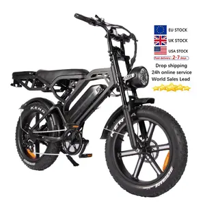 electric V20 Pro fatbike velo bike electric motor electric cycles e bike 250W 2 seat ebike