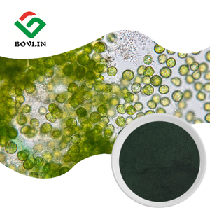 ผงคลอเรลล่าออร์แกนิกขายส่งแบบเป็นกิโลกรัม ผงคลอเรลล่า วัลการิส - Product Image 1