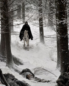 Neve Artificiale Biodegradabile per Effetti Speciali, Neve in Carta di Cellulosa per Esposizioni - Product Image 4