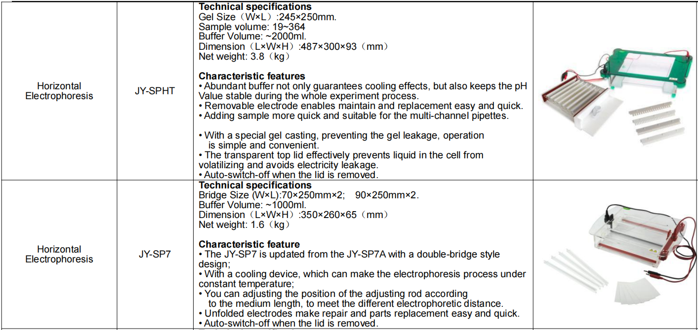 Vertical Gel Electrophoresis System With Electrophoresis