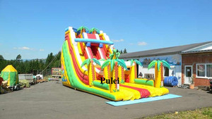 Bán Chạy Trượt Nước Hai Làn Đường PVC Khổng Lồ Trượt Bơm Hơi Khô Công Viên Khủng Long Thương Mại Trượt Nhảy Không Khí Ngoài Trời Cho Thuê Tiệc Tùng Trẻ Em - Product Image 2