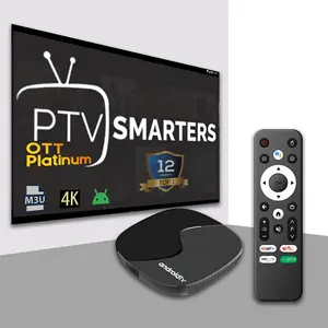 High Quality Set-top Box Reseller Iptv Subscription 12M Allwinner H313 Quad Core ARM IPTV Box Android