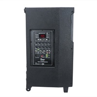Haut-parleur actif professionnel PL-4412A/B 200W avec microphone sans fil, woofer sur chariot pour système audio domestique et extérieur