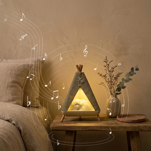 Modern Creative LED Night Light for Bedroom and Dining Room Cute Novelty Shade Bedside Lamp with E14 Bulb Base DC Power Supply