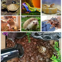 Lampe chauffante halogène 25W 50W 75W UVA UVB 3.0 Reptile Full Spectrum Turtle Basking Light Lamp