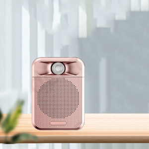 Amplificateur vocal professionnel K700, double haut-parleur, portable, Bluetooth, rechargeable par USB, batterie 5-10W, pour enseignants, conférences, visites - Product Image 1