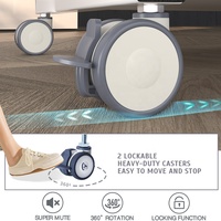 Roulettes d'hôpital non magnétiques de 50 mm à double roue avec tige filetée M10 M8 de 2 pouces pour salles d'IRM