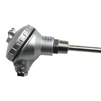Sonde de température en acier inoxydable avec filetage NPT 1/2'' et tête de thermocouple -200~420°C, longueur de tuyau 50-400mm, PT100, OEM