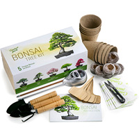 Kit personnalisé de luxe en céramique bonsaï naturel pour arbre kit pot plante jardinage coffret cadeau pour dame