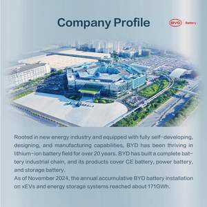 BYD 원통형 리튬 이온 배터리를 사용한 BYD 3 휠러 친환경 운송용 - Product Image 6