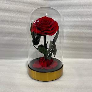 Rose éternelle classique <span class=keywords><strong>Rosa</strong></span> <span class=keywords><strong>Bella</strong></span> E Bestia, La Belle et la Bête sous cloche en verre, cadeau de la Saint-Valentin - Product Image 3