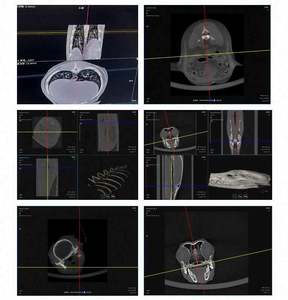 Nuova macchina veterinaria per la scansione di tomografia computerizzata per ospedali animali domestici <span class=keywords><strong>CT</strong></span> - Product Image 6