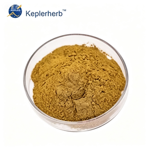 Estratto di Primula Veris 10:1, Integratore Naturale a Base di Erbe per Tosse, Bronchite, Calmante Respiratorio e Sedativo, OEM - Product Image 3